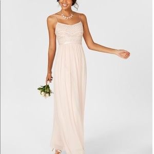 Adrianna Papell Beaded Blush Gown